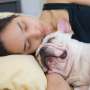 Mau Tidur Lebih Nyenyak? Coba Tidur Bersama Anjing Anda