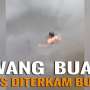 Niat Cari Korban, Pawang Buaya Malah Tewas Diterkam Buaya
