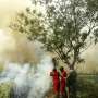 12 Hektare Hutan Rinjani Dilalap si Jago Merah