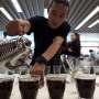 Hanya di Mal Ini Anda Bisa Cicipi 1.000 Cangkir Kopi