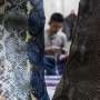 Kerajinan Kulit Ular dan Biawak
