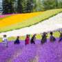 Hokkaido, Destinasi dengan Sejuta Daya Tarik
