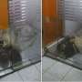 Dua Bocah Ini Tidur Berpelukan  di Dalam Gerai ATM Jakarta Pusat
