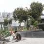 Teror Timbal di Taman Bermain Jakarta, DPRD: Cepat Bawa ke Lab