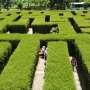 Menikmati Petualangan Seru ala Maze Runner di Labirin Coban Rondo