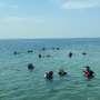 Tak Cuma Menikmati, Mereka Turun Tangan Selamatkan Laut