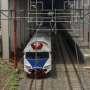 KRL Terganggu Pohon Tumbang, KCI Minta Maaf