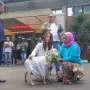 Model Cantik Putri Stagi Walter Bawa Kambing ke Polda, Ada Apa?