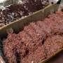 Resep Pisang Nugget Crispy, Camilan Viral yang Mudah Dibuat