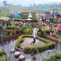 Tempat Wisata di Malang untuk Libur Lebaran: Jatim Park hingga Pujon Kidul