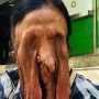 Idap Penyakit Langka, Wajah Nenek Ini 'Meleleh'