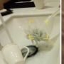 Viral! Petugas Hotel Bintang Lima Cuci Gelas Pakai Sikat WC
