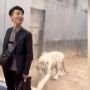 Niat Mau foto, Lelaki Ini Hampir Diterkam Harimau