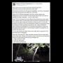 Gara-gara Rusa, Tesla Model 3 Nyemplung Sungai