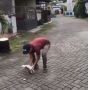 Viral, Pemuda Menyiksa Kucing, Dilempar Hingga Ditendang
