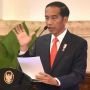 PKB: Cawapres Pendamping Jokowi Ditentukan Usai Pilkada
