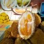 Angkut 3 Ton Durian, Para Penumpang Sriwijaya Turun dari Pesawat