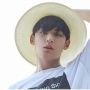 Profil Mingyu SEVENTEEN