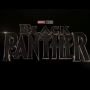 Aksi Pengunjung Bioskop Black Panther Bikin Ngakak