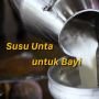 Heboh Susu Unta untuk Bayi, Berani Coba?