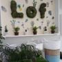 Living with Lof, Instagramable berkat Koleksi Tanaman Cantiknya