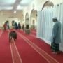 Babi Ngamuk di Dalam Masjid, Satu Jemaah Salat Terluka