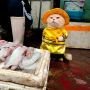 Berkostum, Kucing Penjual Ikan Ini Bikin Gemas