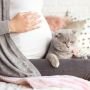 Ibu Hamil Tak Perlu Takut, Kontak dengan Kucing Tidak Akan Menularkan Tokso
