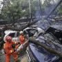 Mobil Tertimpa Pohon Tumbang, Suyanto Tewas saat Masih Pegang Setir