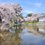 Ini Tempat Paling Romantis Nikmati Bunga Sakura di Jepang, Magis!