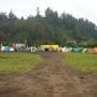 Ribuan Pencinta Alam sampai Akademisi Reboisasi Lereng Semeru