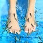 Terapi Spa Ikan Tingkatkan Risiko Penyebaran HIV dan Hepatitis?