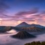 Viral Wisatawan Ngaku Diminta Bayar Rp 50.000 Gegara Ketahuan Rekam Kuda di Gunung Bromo, Bagaimana Peraturannya?