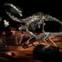Dua Dinosaurus Terjual Seharga Rp48,4 Miliar dalam Lelang