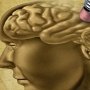 Duh! Duduk Terlalu Lama Ternyata Dapat Tingkatkan Risiko Demensia