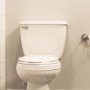 Kebelet Pipis? Ini 21 Lokasi Bus Toilet di Sekitar Bundaran HI