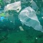 Tahun 2050, Sampah Plastik di Laut Lebih Banyak Daripada Ikan