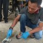 Maling Anjing Nyaris Tewas Dikeroyok, Sepeda Motornya Dibakar