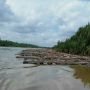 Ribuan Kayu Gelondongan Ilegal Mengambang di Sungai Muba