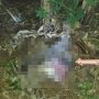Main Tak Kunjung Pulang, Bocah 6 Tahun Tewas dalam Karung Beras