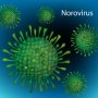 Ahli Khawatir Wabah Norovirus Meningkat, Lakukan 6 Tindakan Pencegahan Ini!