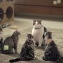 Ngakak, Lima Iklan Thailand Ini Kreatif dan Bisa Kocok Perut