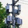 Gunakan Transmisi 5G, Satwa Pun Kena Risiko