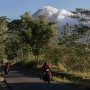 Letusan Freatik Picu Satwa Merapi Turun ke Perkampungan