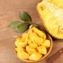 6 Manfaat Daun Nangka, dari Menyembuhkan Luka Luar hingga Diabetes
