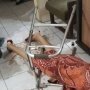 Sebulan Berlalu, Polisi Putar Otak Tangkap Pembunuh Nenek Jeanne