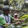 Dukung Jokowi 2 Periode, Moeldoko Nilai TGB Lihat Sisi Prestasi