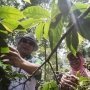 Giliran Moeldoko Didorong Jadi Cawapres Jokowi
