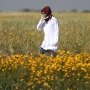 Israel: Tentara Kami Tak Sengaja Tembak Mati Razan Al Najjar
