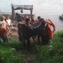 Panik Lihat Polisi, Terduga Pelaku Pungli Terjun ke Sungai Enim